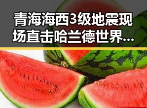 青海海西3级地震现场直击哈兰德世界杯首秀独中两元震撼反差引发关注