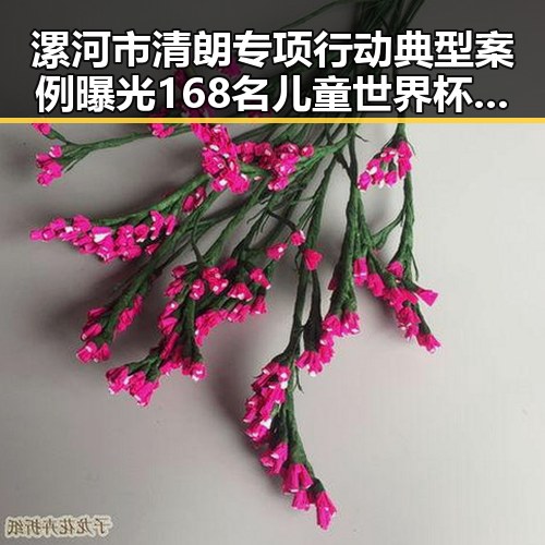 漯河市清朗专项行动典型案例曝光 168名儿童世界杯上这样纪念伊朗队