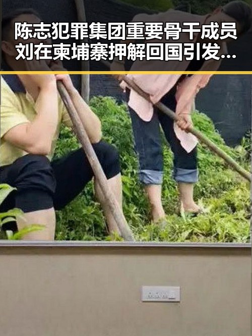 陈志犯罪集团重要骨干成员刘在柬埔寨押解回国引发关注动物园年薪十万元招人扮黑熊吸睛